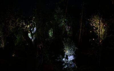 Jardin de nuit, pièce sonore et sensitive pour un jardin potager – Cie l’Aubépine